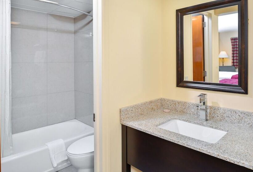 스탠다드 룸 더블 침대 2개, Soudersburg Inn & Suites Lancaster