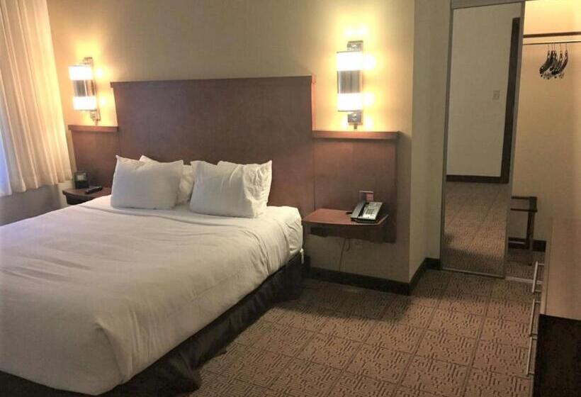 Номер Стандарт Кровать Кинг Адаптированный для Инвалидов, Hyatt Place Des Moines/downtown