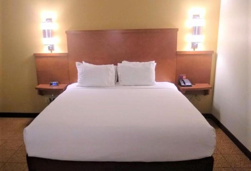 Люкс Адаптированный для Инвалидов, Hyatt Place Des Moines/downtown