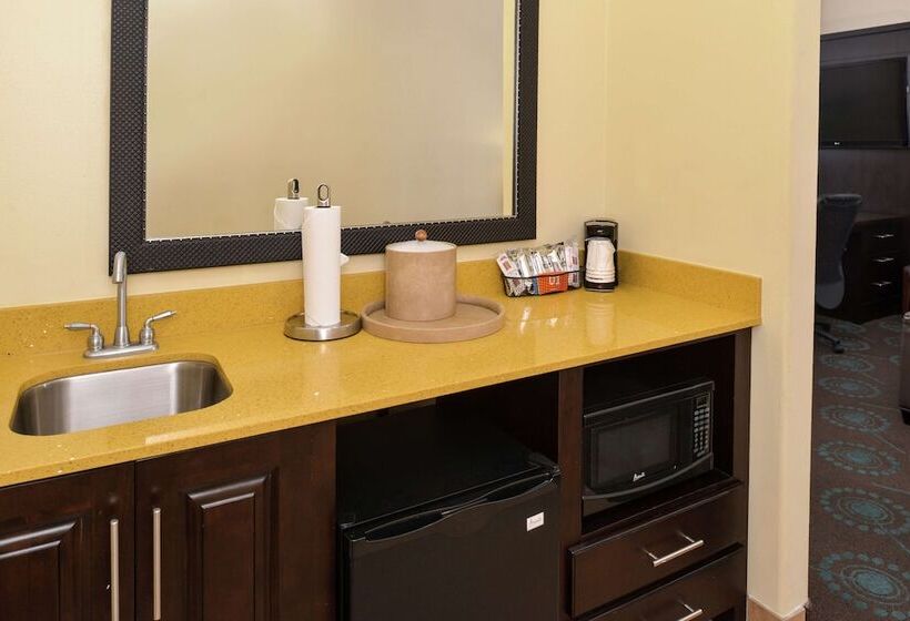 Çift Kişilik Yataklı Standart Stüdyo, Hampton Inn Beeville