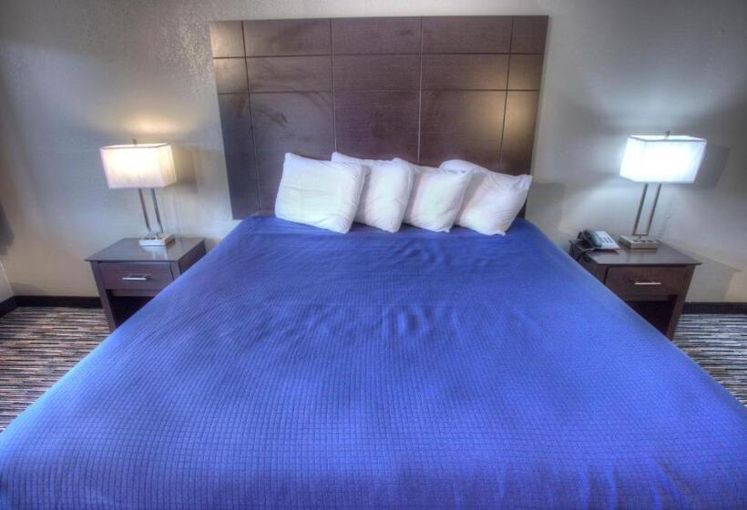 חדר סטנדרט עם מיטת קינג, Budgetel Inn And Suites Plus Helen