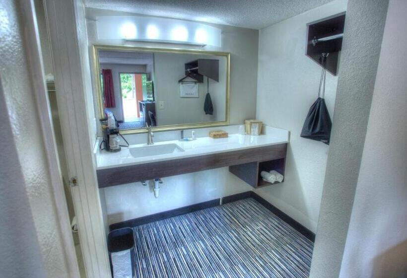 חדר סטנדרט יחיד מותאם לאדם עם מוגבלויות, Budgetel Inn And Suites Plus Helen