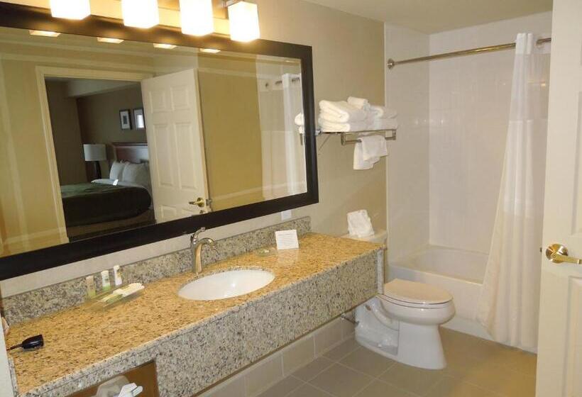 Люкс, Country Inn & Suites By Radisson, Buffalo South I90, Ny