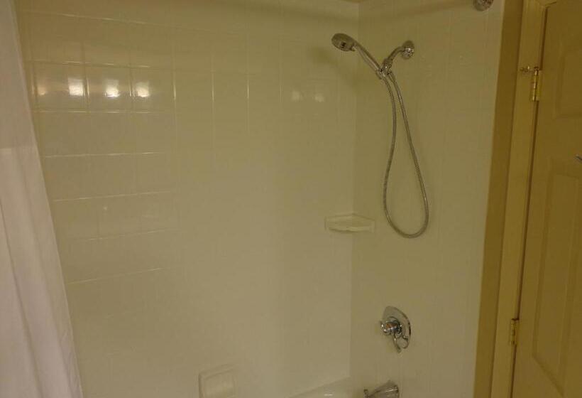 Люкс Адаптированный для Инвалидов, Country Inn & Suites By Radisson, Buffalo South I90, Ny