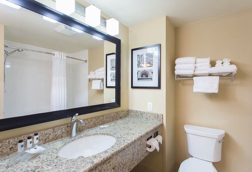Люкс Адаптированный для Инвалидов, Country Inn & Suites By Radisson, Buffalo South I90, Ny