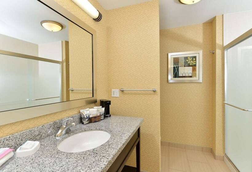 스탠다드 룸 킹사이즈 침대, Hampton Inn Iowa City/university Area