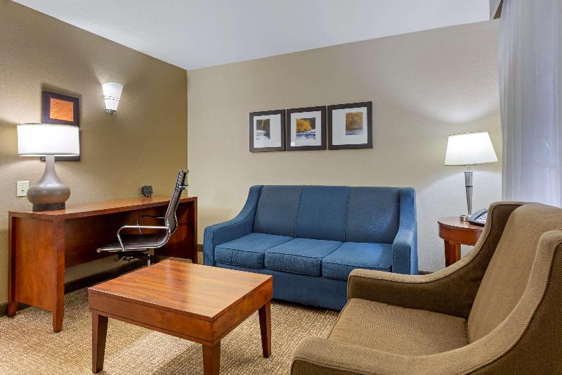 Люкс Кровать Кинг, Comfort Suites Near Potomac Mills