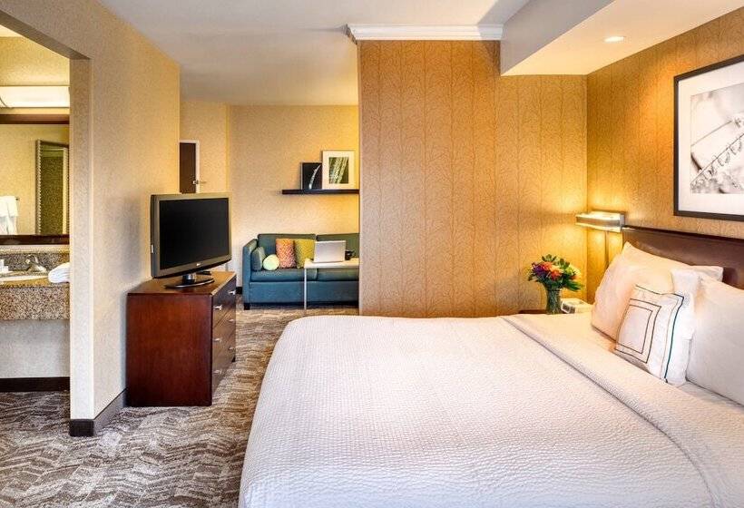 Люкс, Springhill Suites By Marriott Salt Lake City Downtown