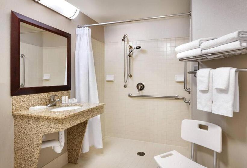 Студия Deluxe, Springhill Suites Thatcher