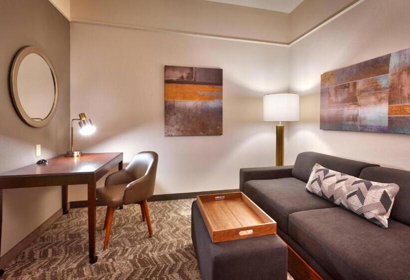 Студия Deluxe, Springhill Suites Thatcher