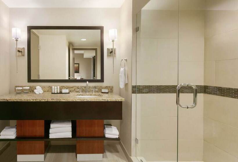 Studio Standard Lit Double, Embassy Suites Chattanooga / Hamilton Place