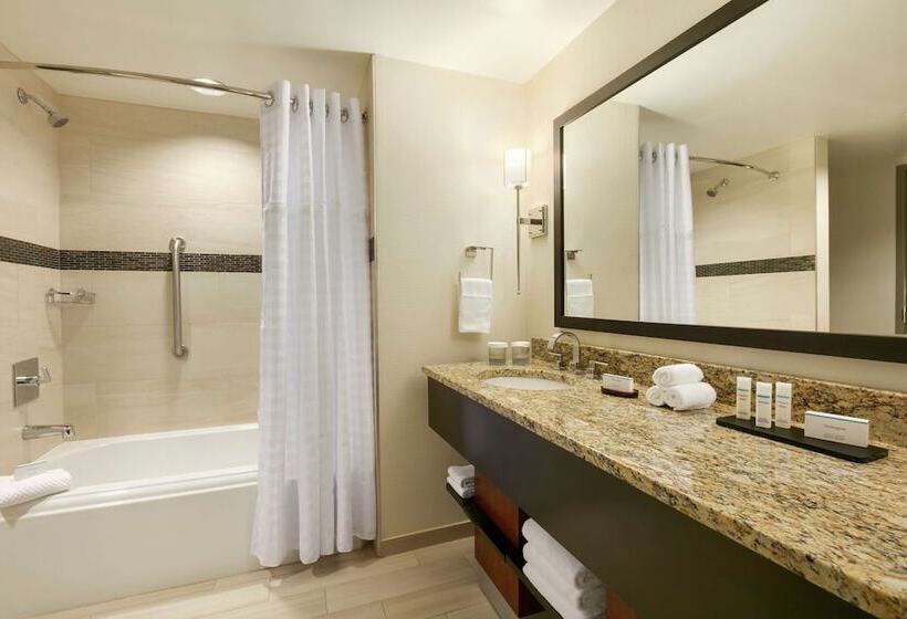 Suite, Embassy Suites Chattanooga / Hamilton Place