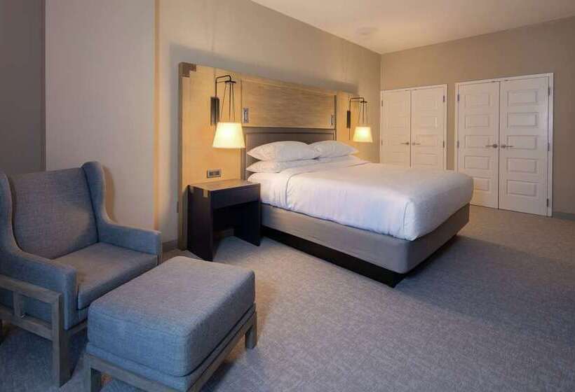 Suite Lit King, Embassy Suites Chattanooga / Hamilton Place