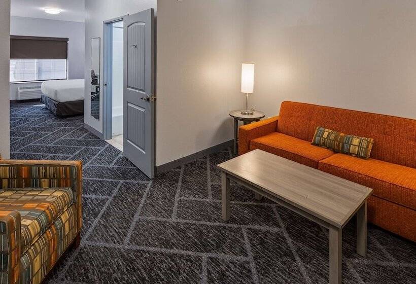 סוויטה מותאמת לאדם עם מוגבלויות, Best Western Plus Appleton Airport Mall