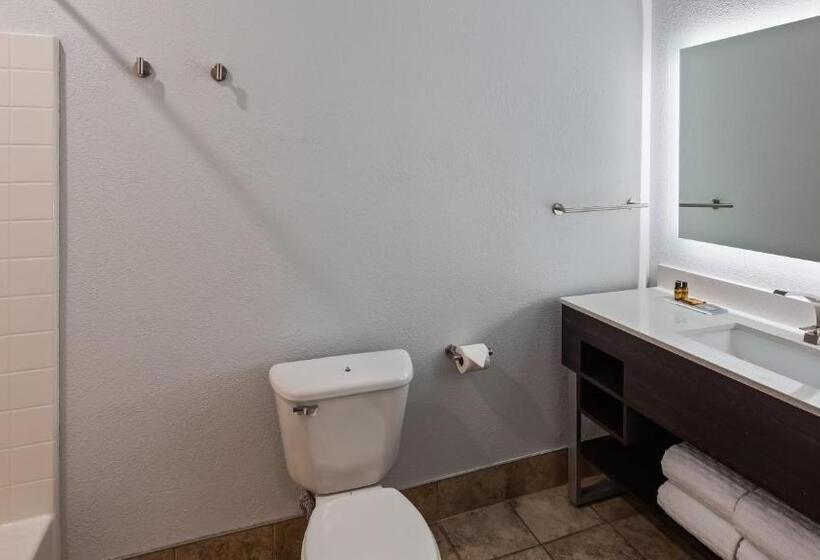 מיטת קינג בסוויטה, Best Western Plus Appleton Airport Mall