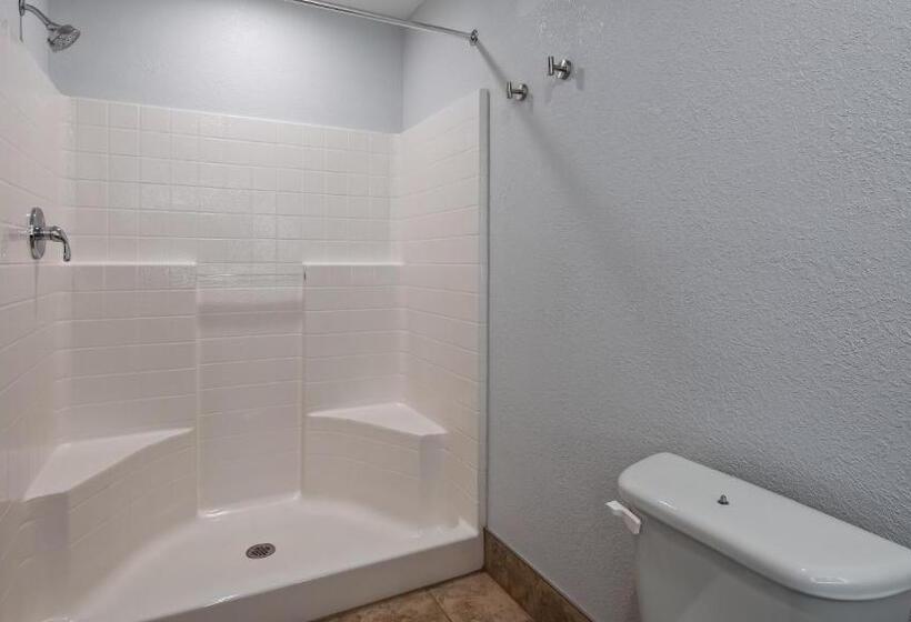 סוויטה מותאמת לאדם עם מוגבלויות, Best Western Plus Appleton Airport Mall