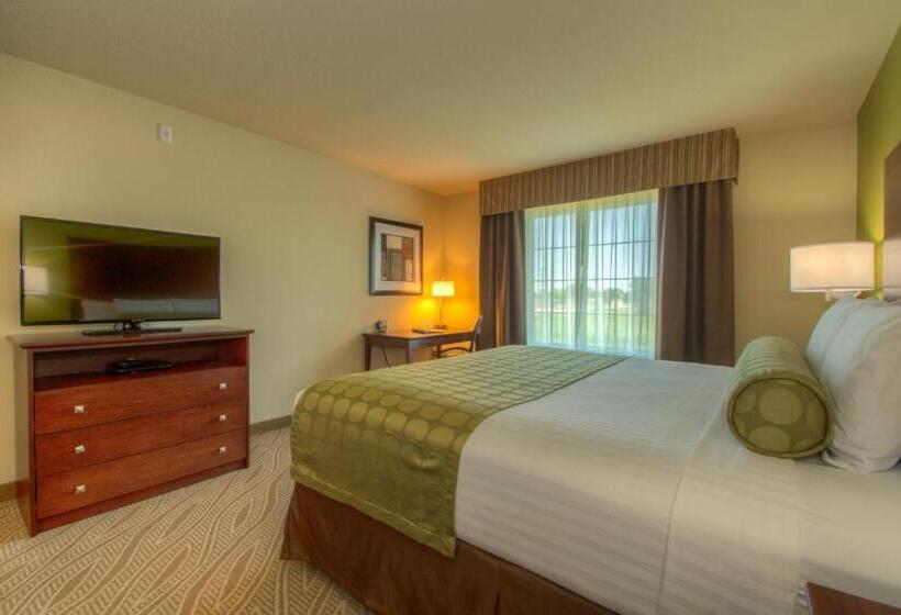 Стандартный Номер Кровать Кинг, Cobblestone Inn & Suites   Holyoke