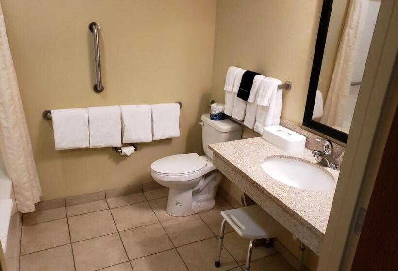 Номер Стандарт Адаптированный для Инвалидов, Cobblestone Inn & Suites   Holyoke