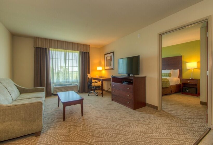 Люкс Адаптированный для Инвалидов, Cobblestone Inn & Suites   Holyoke