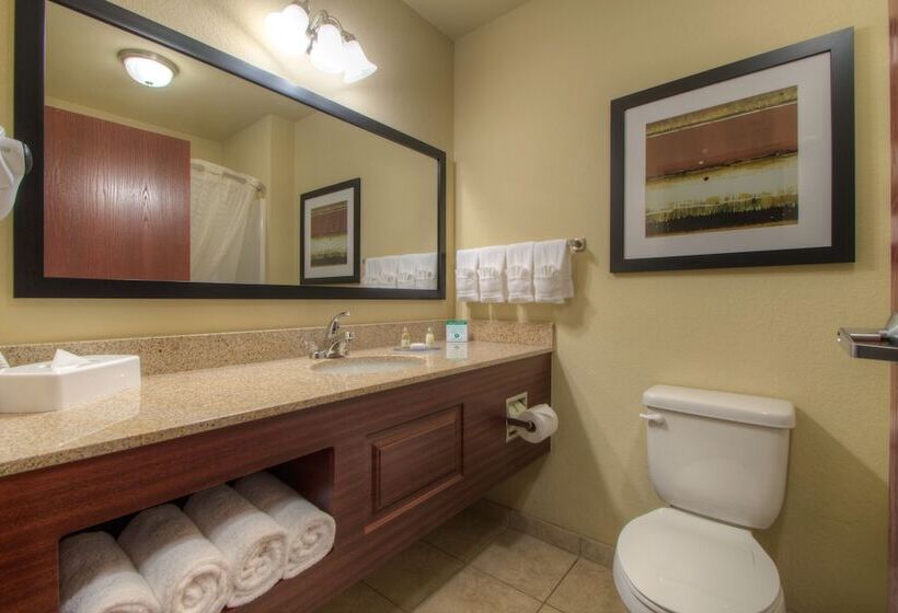 Студия Стандарт, Cobblestone Inn & Suites   Holyoke