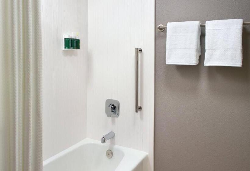 스탠다드 룸, Courtyard By Marriott Raleigh Cary
