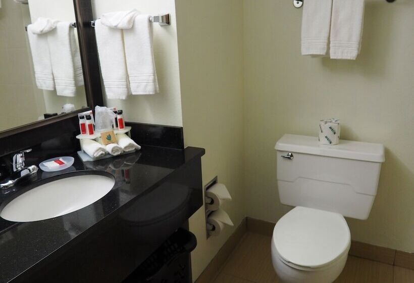Номер Deluxe, Days Inn By Wyndham Petoskey