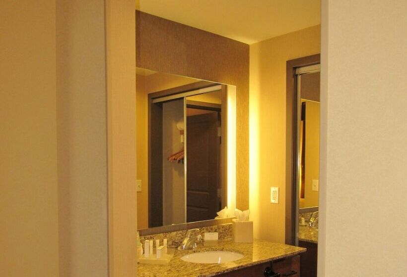 스위트, Homewood Suites By Hilton Durango, Co