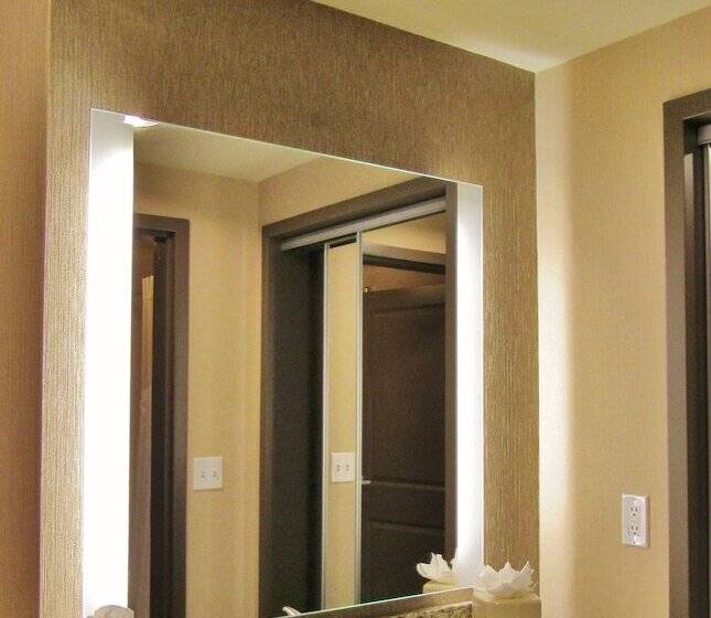 스위트, Homewood Suites By Hilton Durango, Co