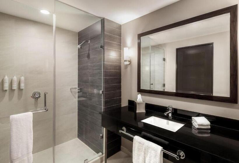 家庭间, Marriott Panama Hotel   Albrook