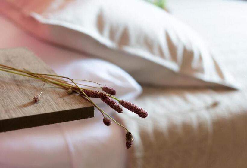 Номер Стандарт, La Bastia   Bed & Soul
