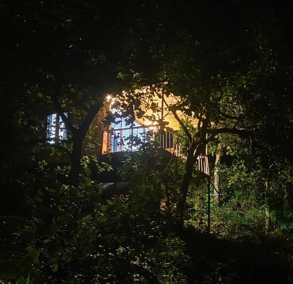 Номер Стандарт Вид на Озеро, Samyama Retreat