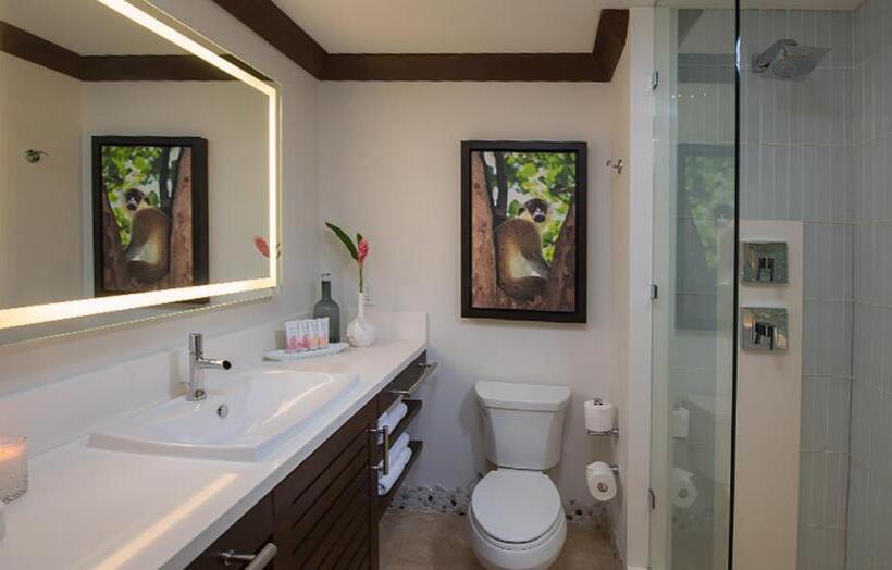 اتاق پرمیوم, Sandals Barbados All Inclusive  Couples Only