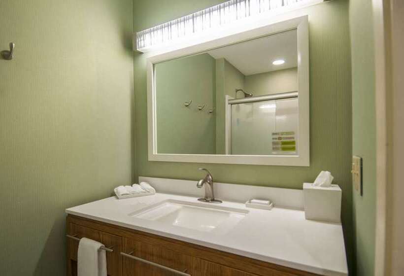 Standard Stúdiószoba Franciaággyal King Size, Embassy Suites By Hilton Knoxville West