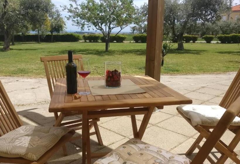 スイート（家族用）, Punta Aderci Rooms