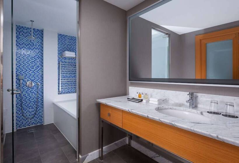Полулюкс Вид на Море, Radisson Collection Paradise Resort And Spa, Sochi