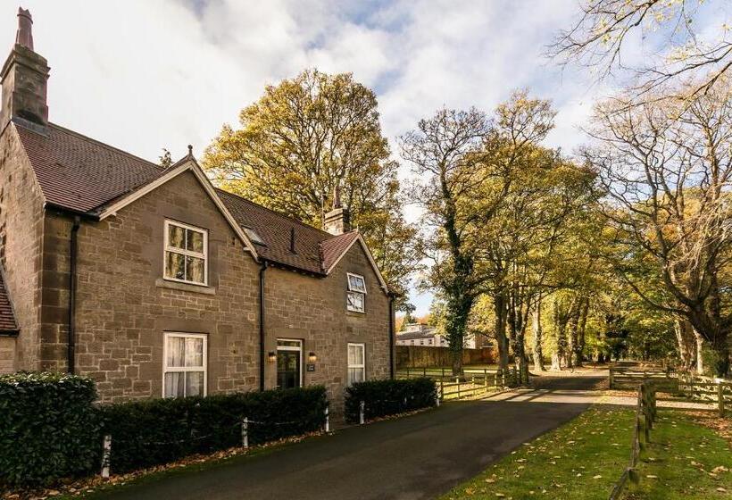 Номер Стандарт, Eshott Hall