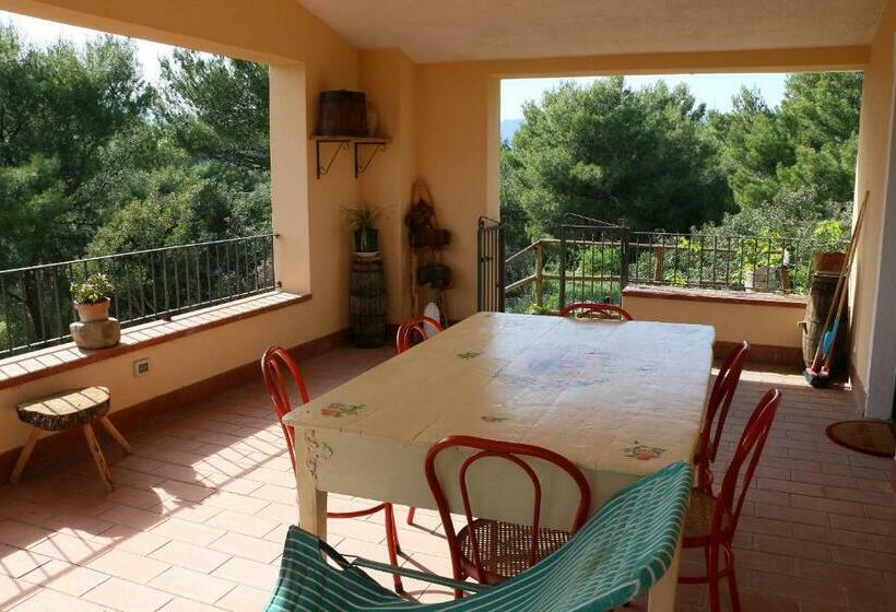 5人标间, B&b Il Vigneto