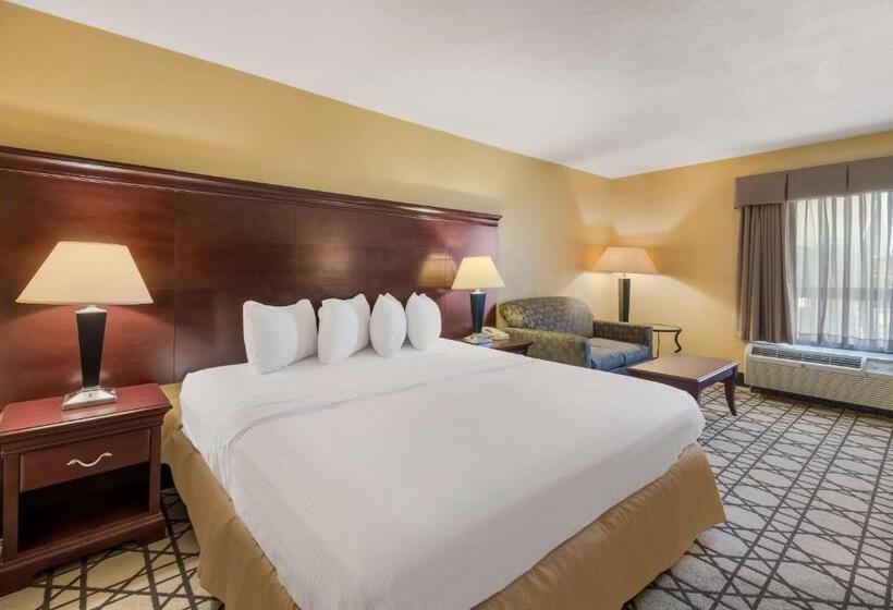 Номер Стандарт Кровать Кинг Адаптированный для Инвалидов, Best Western University Inn