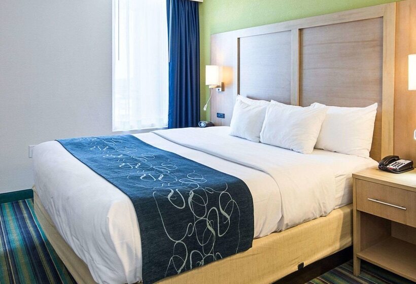 스위트, Comfort Suites Beachfront