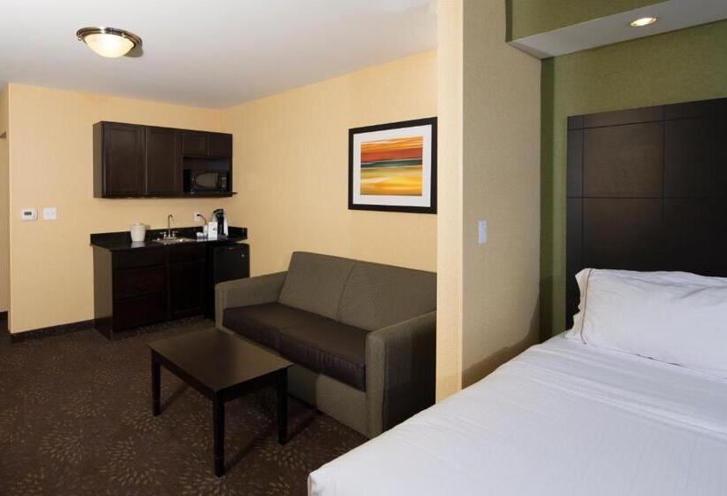 מיטת קינג בסוויטה, Holiday Inn Express And Suites Detroit North Troy, An Ihg