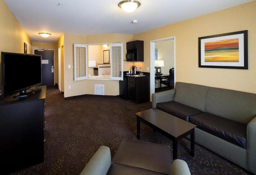 סוויטת אקזקיוטיב, עם מיטת קינג, Holiday Inn Express And Suites Detroit North Troy, An Ihg