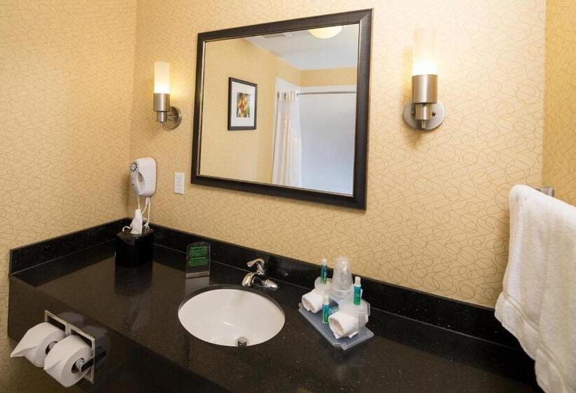חדר סטנדרט מותאם לאדם עם מוגבלויות, Holiday Inn Express And Suites Detroit North Troy, An Ihg