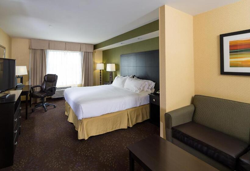 סוויטה מותאמת לאדם עם מוגבלויות, Holiday Inn Express And Suites Detroit North Troy, An Ihg