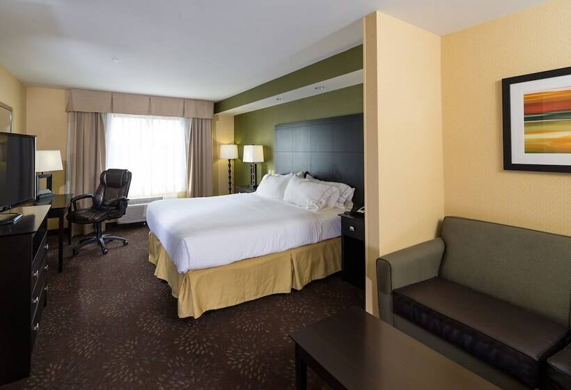 סוויטה, Holiday Inn Express And Suites Detroit North Troy, An Ihg