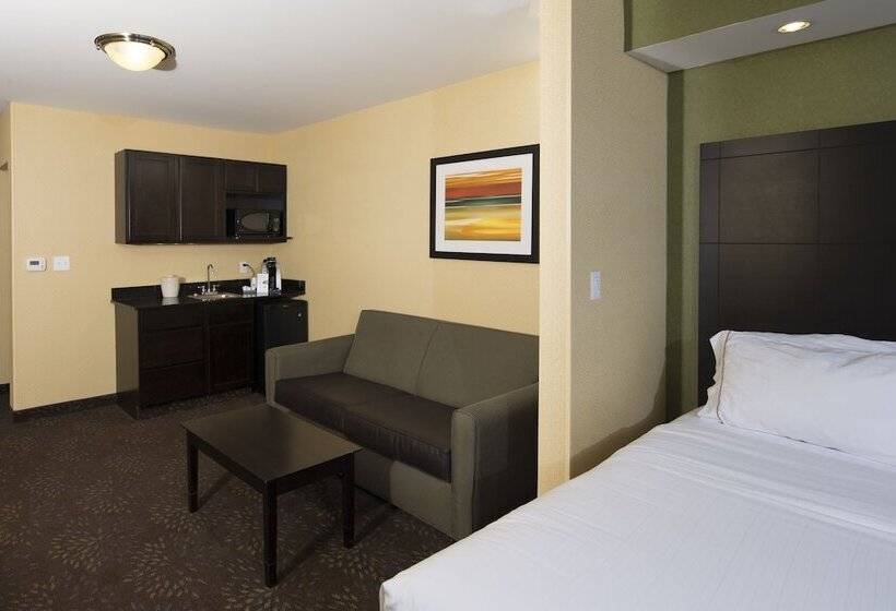 סוויטה מותאמת לאדם עם מוגבלויות, Holiday Inn Express And Suites Detroit North Troy, An Ihg