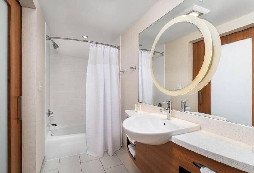 Standard studio with river view, Springhill Suites By Marriott Downtown Chattanooga/cameron Harbor