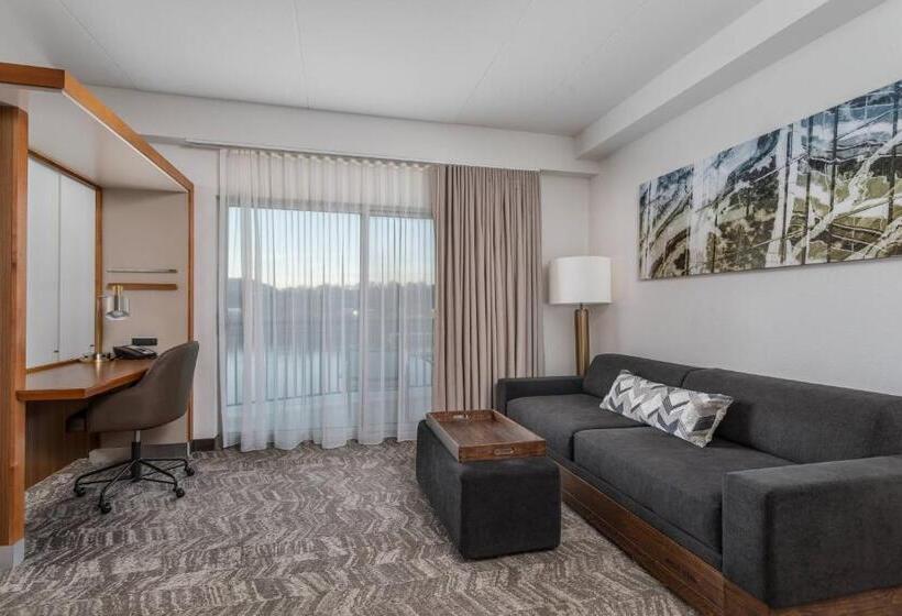 Студио Стандарт Кровать Кинг, Springhill Suites By Marriott Downtown Chattanooga/cameron Harbor