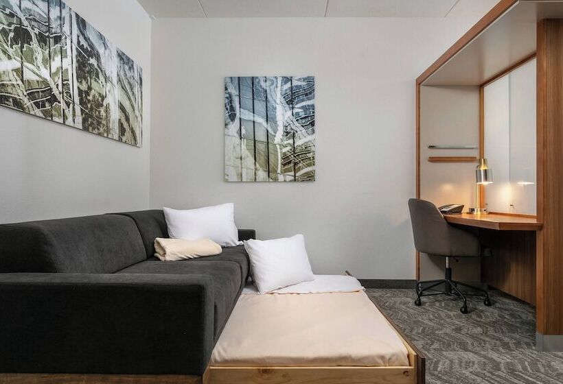 Standard studio with river view, Springhill Suites By Marriott Downtown Chattanooga/cameron Harbor