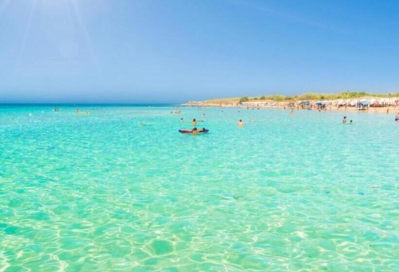 Номер Стандарт, Costa D Oro