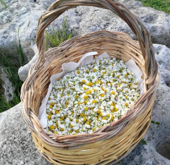 Номер Дюплекс, Masseria La Gatta Matta